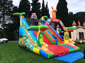 şişme oyun parkı organizasyon